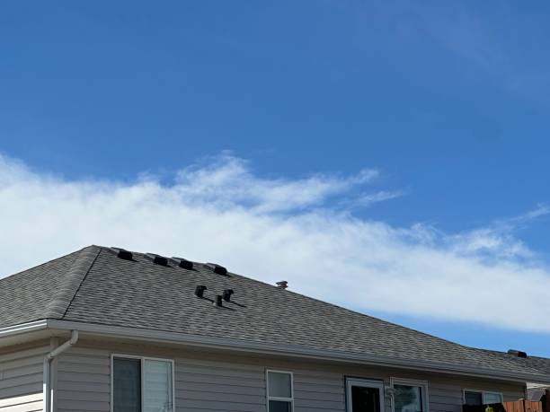Best Asphalt Shingles Roofing  in Athens, WV